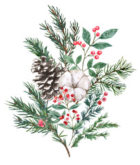 cotton flower, red berries and evergreen branches. High-res, isolated on transparent background&mdash;perfect for cards, invites, packaging and decor.