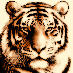 Close-up digital artportrait of a majestic tiger with watchful eyes and black stripes