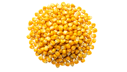 Overhead studio shot of a vibrant pile of dried corn kernels, ready for processing or cooking