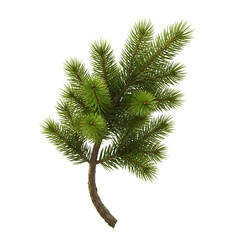 Realistic Pine Branches with Dew Drops &ndash; Christmas Tree Foliage, Winter Nature Background for Holiday Design, Packaging, Greeting Cards, and Eco Branding