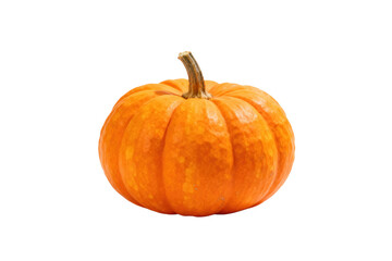 A small orange pumpkin with a stem on a white background