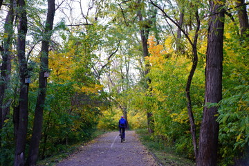 Fototapeta premium A cyclist rides along the road in an autumn park.