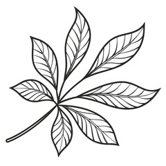 Stylized black and white drawing of a palmate leaf