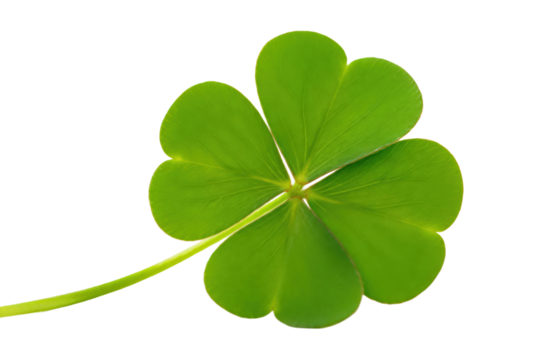 Four-leaf clover representing good luck and nature's beauty - Powered by Adobe