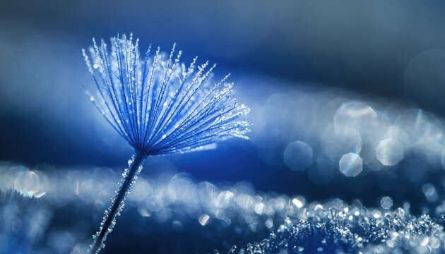 Winter's Delicate Dandelion: A close-up view reveals a crystalline dandelion seed head, adorned with delicate ice crystals, creating a scene of serene beauty.  - Powered by Adobe