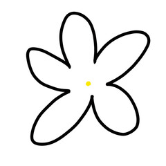 Jasmine White Flower Floral Natural hand drawn Color flora beautiful
