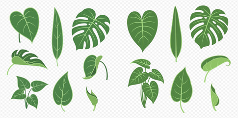 Set of various green tropical leaves, including monstera, philodendron, and other exotic foliage designs. © MuammarAuliyan