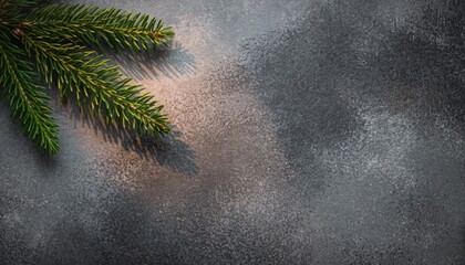 Evergreen Branch on Textured Surface: A sprig of evergreen foliage delicately casts a shadow across a rugged, textured surface.
