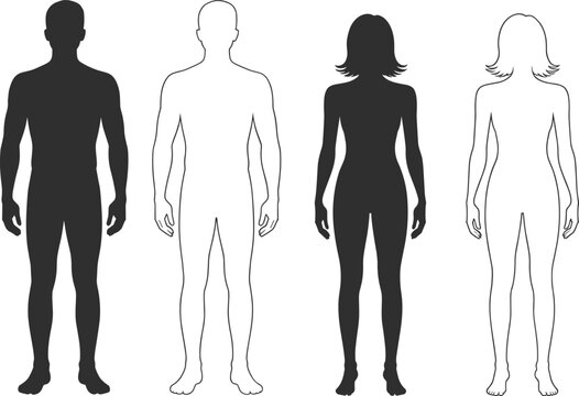 Male and Female Human Body Silhouettes and Outlines vector
