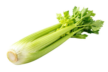 Fototapeta premium Fresh green celery stalk with leafy top for healthy eating