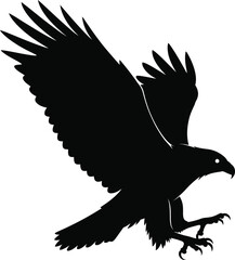 Eagle Flying Predator Bird Vector Illustration