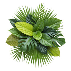 Lush tropical foliage arrangement, vibrant green leaves, and palm fronds