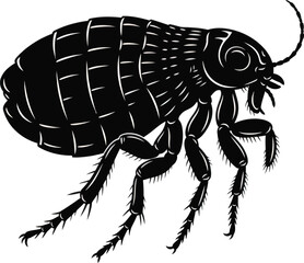 Flea Insect Illustration Vector