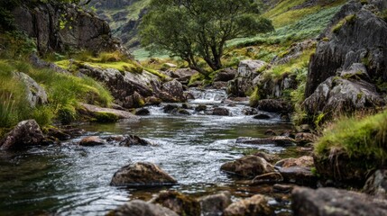 Serene Mountain Stream Flowing Through Rocky Landscape Surrounded by Lush Greenery in Majestic Scenic Nature