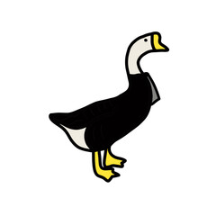 Goose Groom Wedding Black suit marry animal natural hand drawn
