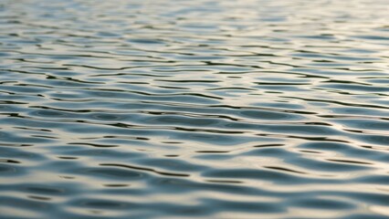 Water surface: Abstract view of serene water with gentle ripples, capturing the play of light and shadow, evoking a sense of calm and tranquility.