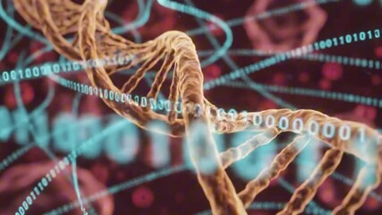 3D illustration of DNA double helix and binary code in orange and blue colors representing bioinformatics and genetic research - Powered by Adobe