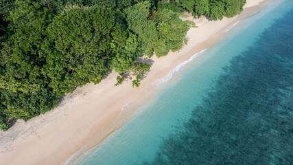 Stunning high-angle aerial view of a pristine sandy beach meeting the clear, vibrant turquoise and deep blue ocean waters.