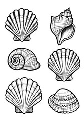 Vintage Hand-Drawn Seashell Collection in Black and White Etching Style