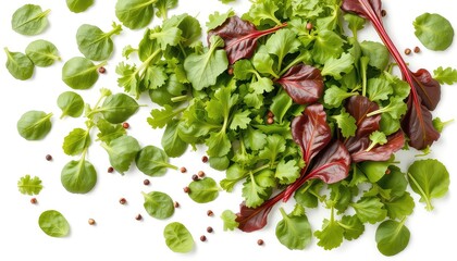 A Vibrant Mix of Fresh Salad Greens and Peppercorns, Perfect for Culinary Presentations and Health-Focused Content
