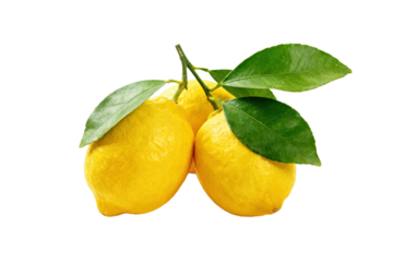 Fresh and vibrant lemons with green leaves on white background