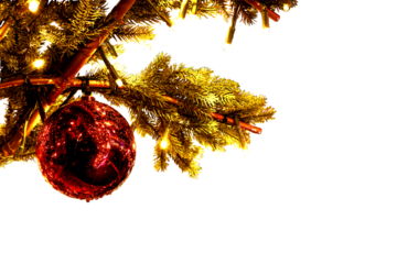 Red Christmas bauble and fir branch with fairy lights isolated on transparent background