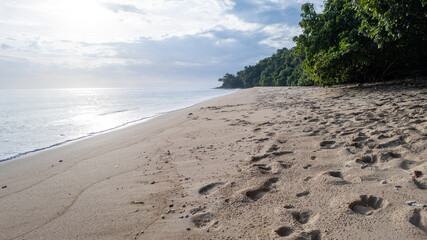 Wide, serene view of a long sandy beach with footprints, smooth ocean water, and dense green tropical forest on the right coastline.
