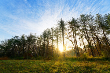 Plain of Sorques protected natural area in the French Gatinais Regional Nature Park