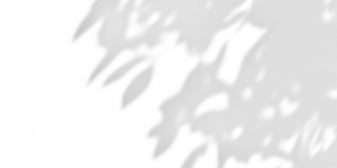 shadow overlay effects of realistic tree leaves shadow on wall,Summer sunlight and dappled shadow overlay effect,branch and foliage shadow