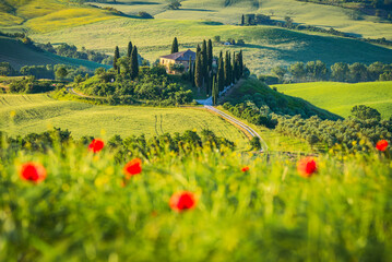 Val d'Orcia, Tuscany. Podere in San Quirico d'Orcia, beautiful spring tuscan landscape in Italy.