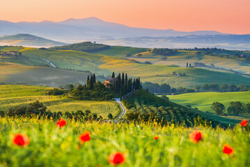 Val d'Orcia, Tuscany. Podere in San Quirico d'Orcia, beautiful spring tuscan landscape in Italy.