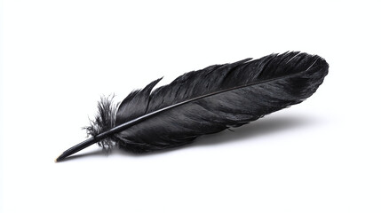 Obraz premium A single black feather lying on a surface. The feather is in perfect condition, and appears soft and light