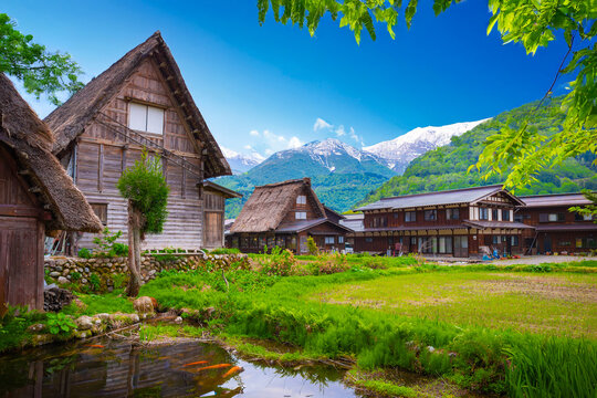 Historical Japanese Village or Shirakawago (ogimachi village) in Gifu Prefecture Chubu Region1995 was registered as a World Cultural Heritage Site together with Gokayama, travel landmark of Japan