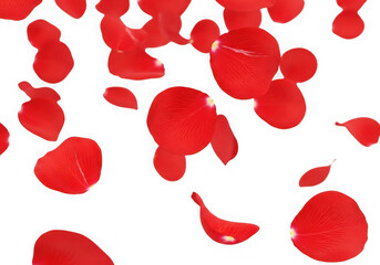 Falling red rose petals background