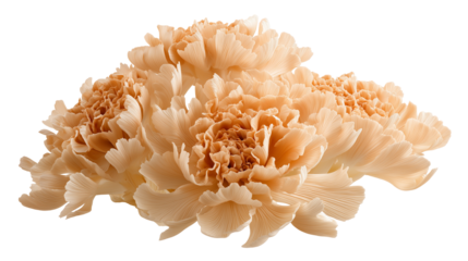 Abstract Peach Flower Cluster Isolated on Transparent Background, Soft Organic Floral Sculpture with Detailed Petals, Elegant Botanical Design Element for Luxury Branding, Wedding Decor, Wall Art and 