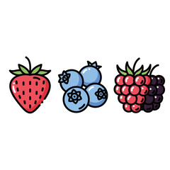 Colorful cartoon berry icons set - a red strawberry, a cluster of blueberries, and a two-tone blackberry.