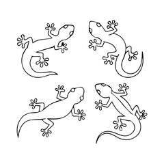Detailed Gecko Silhouette Vector, Editable Lizard Graphic