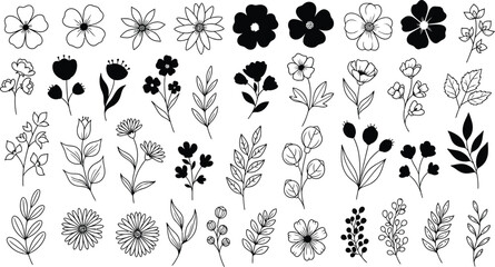 A collection of hand-drawn floral elements and botanical illustrations, perfect for design projects