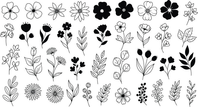 A collection of hand-drawn floral elements and botanical illustrations, perfect for design projects