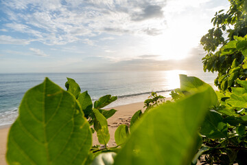 Natural frame of green leaves over a tranquil sandy beach with visible footprints during golden hour. Evokes peace, escape, and tropical vacation.