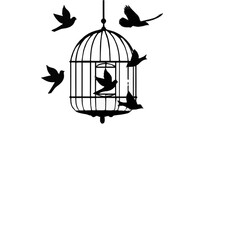 bird in cage