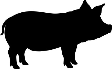 돼지 고기 부위 일러스트 Illustration of pork parts