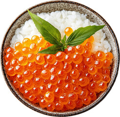 bowl of salmon roe with rice,japanese ikura don 
