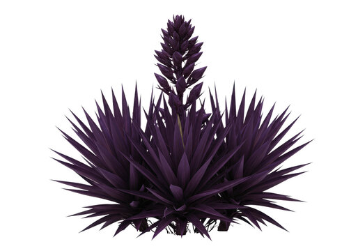 highly detailed, sculptural purple yucca plant (amethyst/obsidian tones) with rigid sword-shaped leaves and unopened buds, isolated on white, concept of modern arid flora design