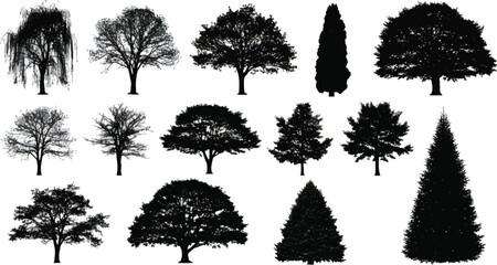 Tree Silhouettes Collection Vector