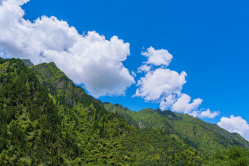 Beautiful Green mountain in China.