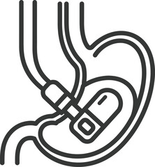 Stomach anatomy medical procedure outline vector illustration