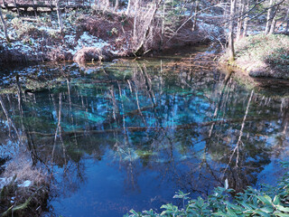 朝の神の子池の風景