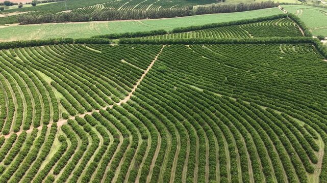 An aerial view showcases an orchard, fields, and cultivated land, representing agriculture and landscape patterns. 