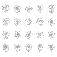 Collection of Silhouetted Flower Icons for Design and Decoration